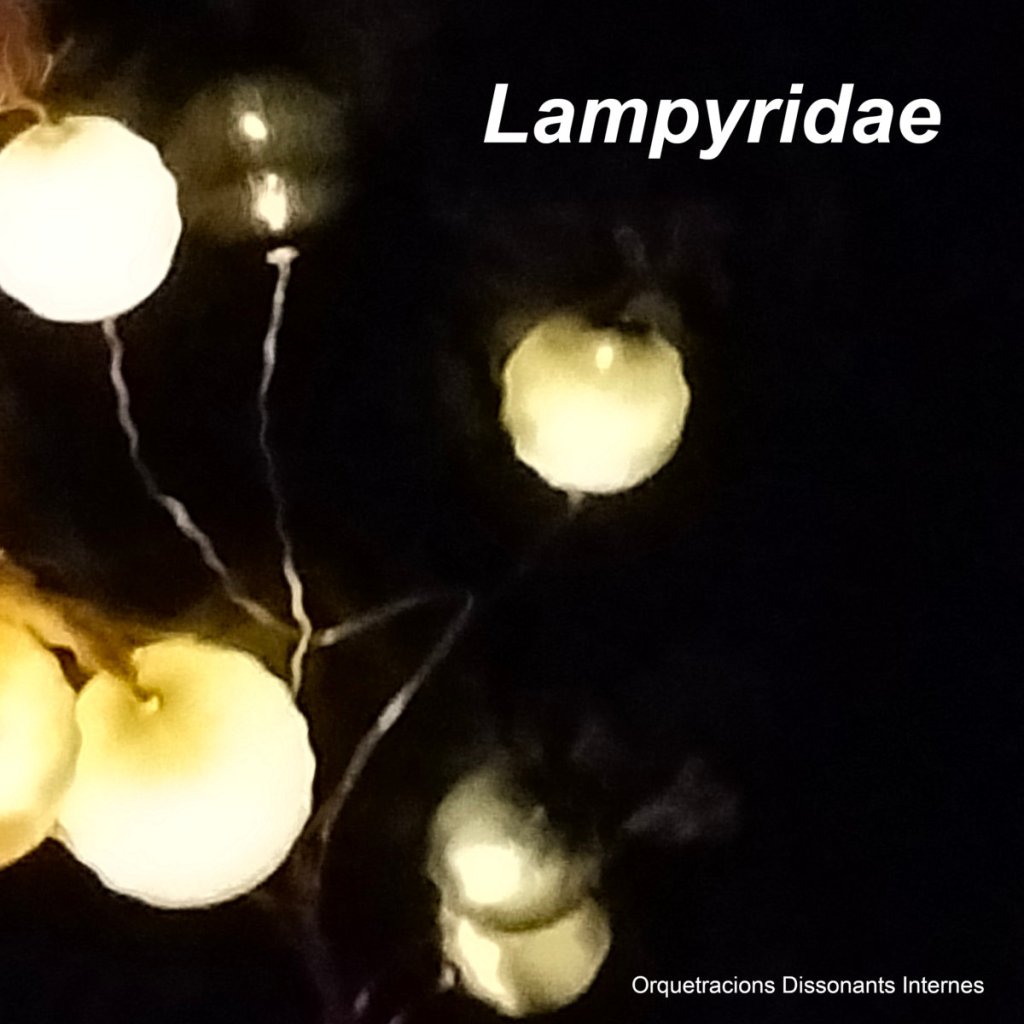 Lampyridae by Orquestracions Dissonants&nbsp;Internes