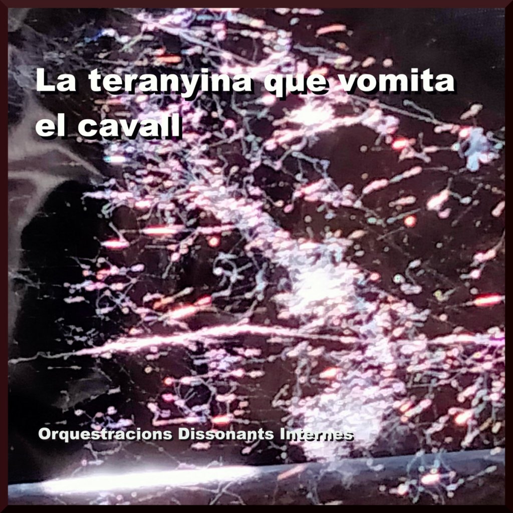 La teranyina que vomita el cavall by Orquestracions Dissonants&nbsp;Internes