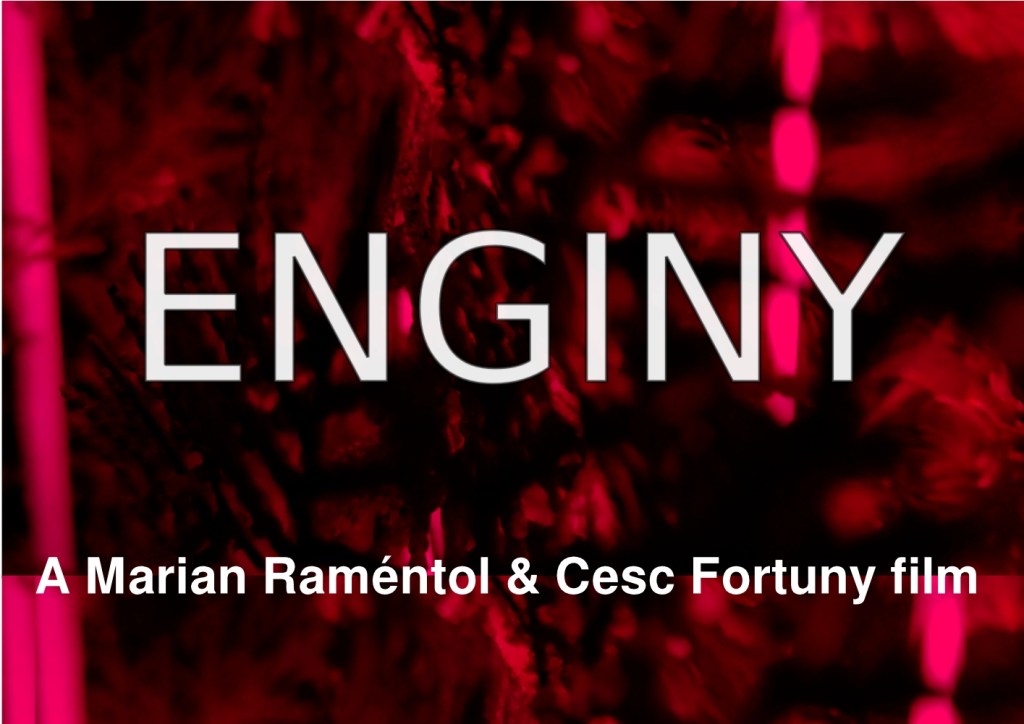 ENGINY