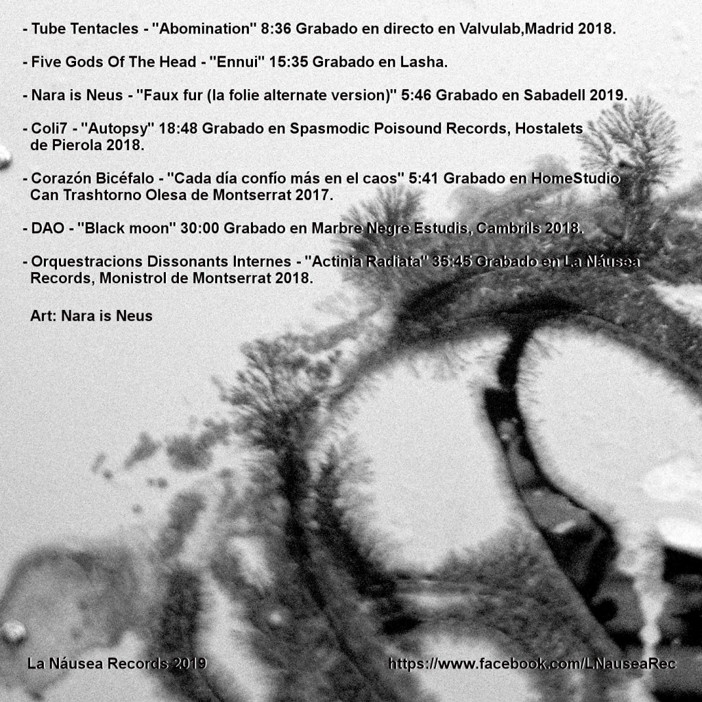 Drone Compilation 2019