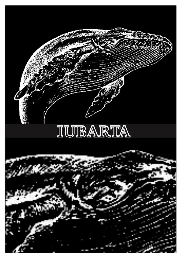 Iubarta by Marian Raméntol