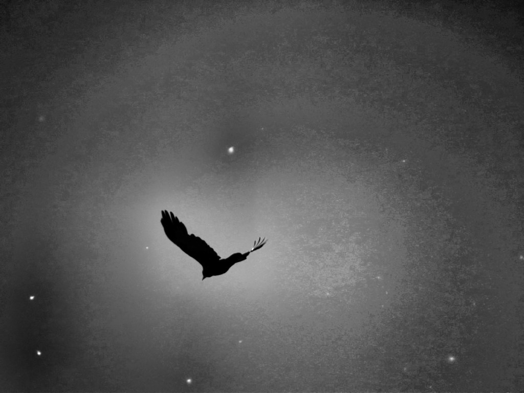 GRAJOS (primera parte), por Felipe Zapico&nbsp;Alonso