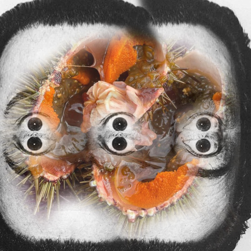 ¿HAY ALGUIEN AHÍ? Tengo un amigo que cree que es una lata de Pepsi Cola, por Ferran&nbsp;Destemple.