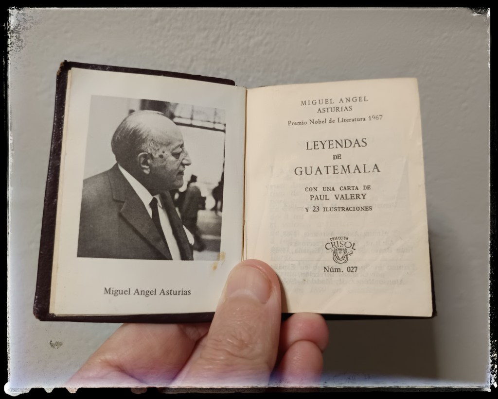 ¿HAY ALGUIEN AHÍ? Viaje alrededor de mi biblioteca, por Ferran&nbsp;Destemple