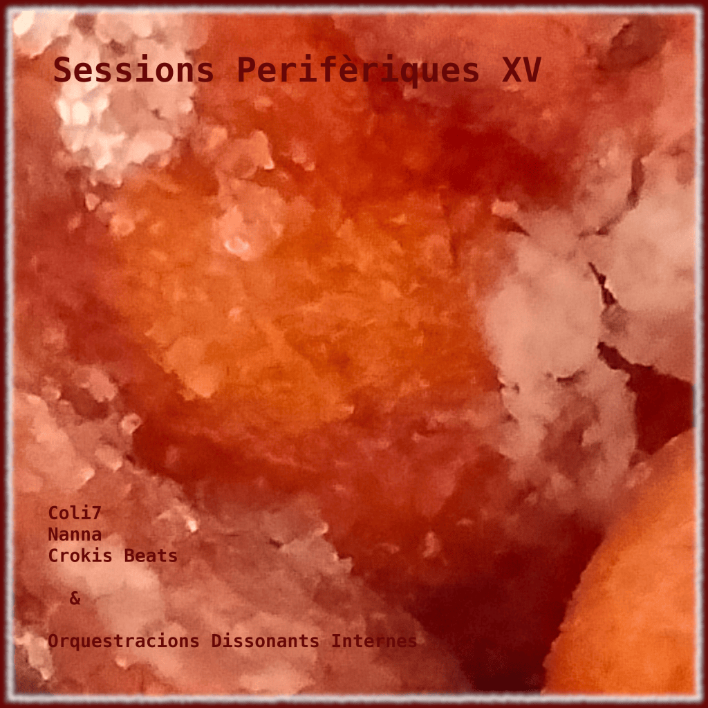 Sessions Perifèriques XV